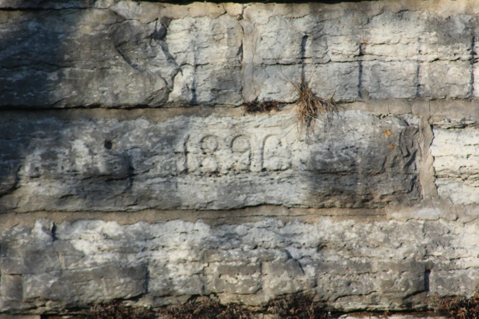 Date stone